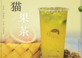 玩球直播：熊猫果茶